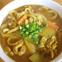 基本からアレンジまで！思わずつくりたくなる「カレー粉 かれーうどん