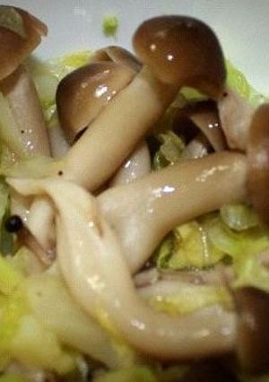 しめじ＆キャベツの簡単合え-レシピのメイン写真