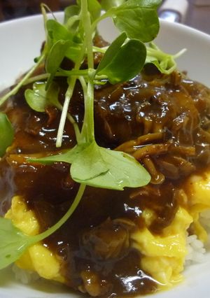 オムハヤシごはん-レシピのメイン写真