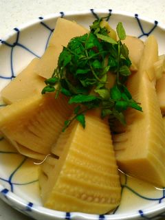 春の味覚を楽しむ① たけのこ煮-レシピのメイン写真