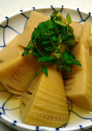 春の味覚を楽しむ①　たけのこ煮-レシピのメイン写真