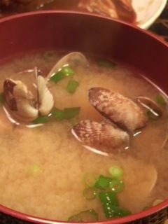 簡単ヘルシー!あさりの味噌汁-レシピのメイン写真