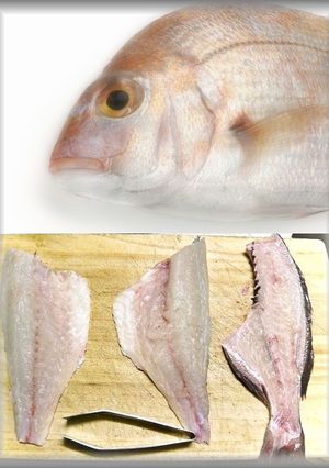鯛の三枚おろし-レシピのメイン写真