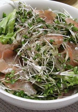 栄養満点フレンチサラダ-レシピのメイン写真