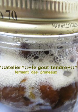 プルーン酵母をひと瓶使いきるまでの記録-レシピのメイン写真