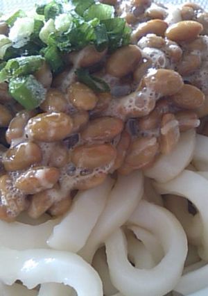 お手軽50円ランチ☆納豆うどん-レシピのメイン写真