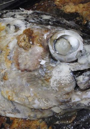 マグロのかぶと焼き-レシピのメイン写真