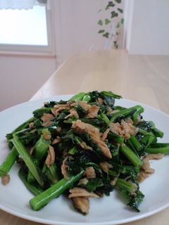 かき菜*ツナ炒め-レシピのメイン写真