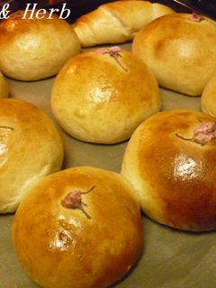 桜パン-レシピのメイン写真