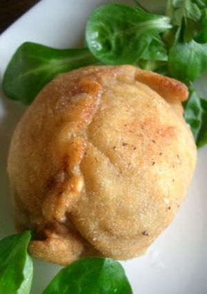 津ギョウザ風★揚げギョウザ-レシピのメイン写真