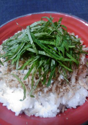 釜揚げしらすめし☆お魚嫌い大集合-レシピのメイン写真