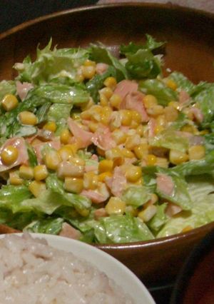 ラー油で味付けマヨサラダ-レシピのメイン写真