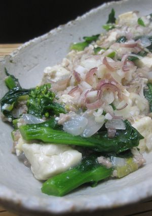 春野菜の塩・麻婆豆腐-レシピのメイン写真