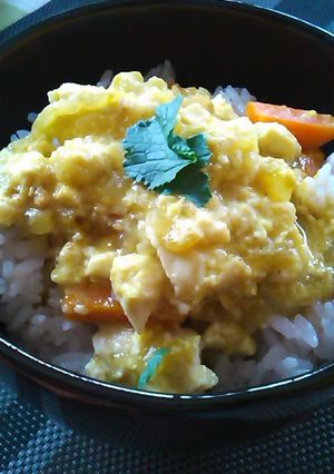 レンジだけ！新玉ねぎのとろとろカレー丼-レシピのメイン写真