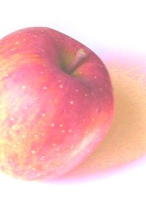 かりかりAPPLE PIE-レシピのメイン写真