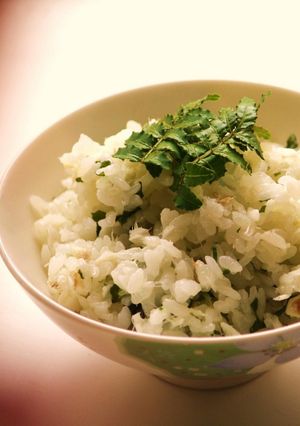 鯛ご飯-レシピのメイン写真