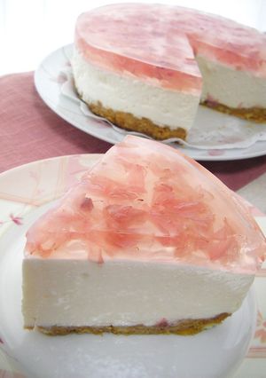 ✿桜のレアチーズムースケーキ✿-レシピのメイン写真