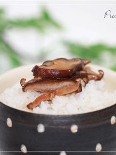 しいたけだけ☆うま過ぎ佃煮-レシピのメイン写真