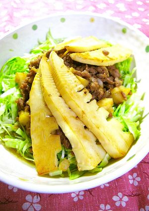 春キャベツにのっけ盛り☆筍とひき肉炒め-レシピのメイン写真