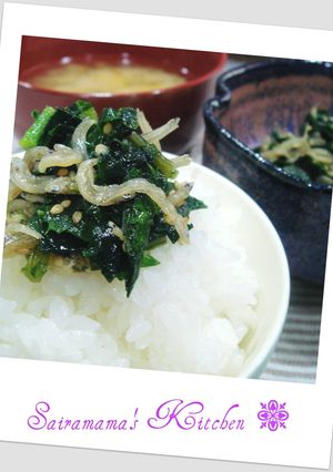 ★ごはんのおともに大根葉っぱちりめん♪-レシピのメイン写真
