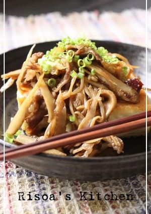 豆腐ステーキの肉ごぼうのせ☆-レシピのメイン写真
