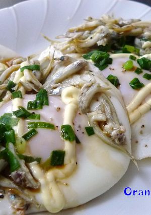 いかなごの釜揚げ目玉焼き-レシピのメイン写真