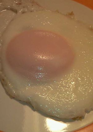 ぷるつやな目玉焼き-レシピのメイン写真