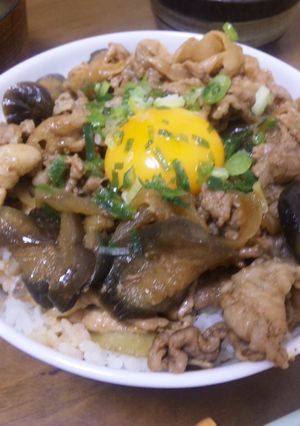 合わせ調味料でラクラク〜豚となすの甘辛丼-レシピのメイン写真