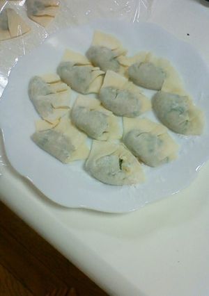 餃子の皮楽チンな包み方^^-レシピのメイン写真