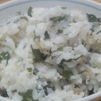 基本からアレンジまで！思わずつくりたくなる「じゃこ ワカメ