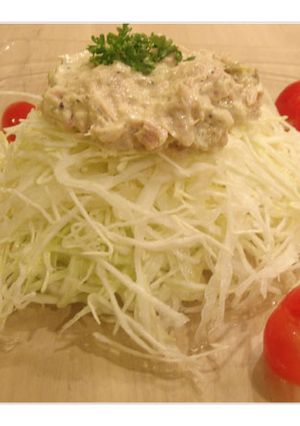 春キャベツで簡単サラダ☆-レシピのメイン写真