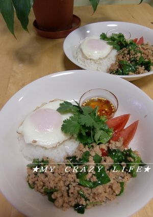 ガッパオ★鶏肉のバジル炒めご飯-レシピのメイン写真