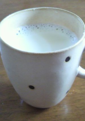 ホッと安心＊ホットスキムミルク-レシピのメイン写真