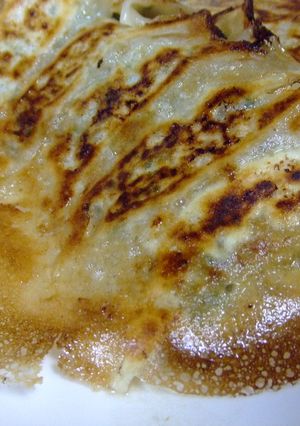 絶品♪私の羽根餃子♪コラーゲン入り-レシピのメイン写真