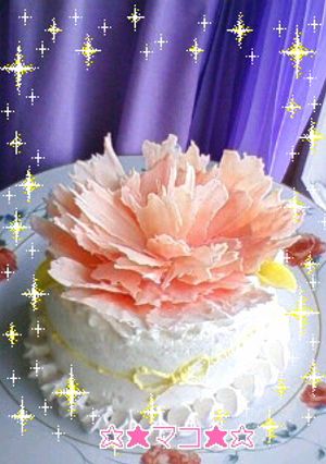 デコ飾りケーキ＊カーネーションチョコ-レシピのメイン写真