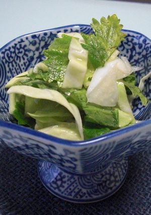 セロリの葉とキャベツの塩だれサラダ-レシピのメイン写真