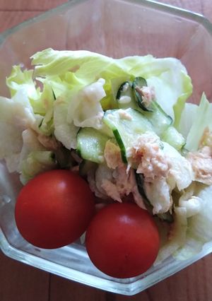 冬瓜サラダ-レシピのメイン写真