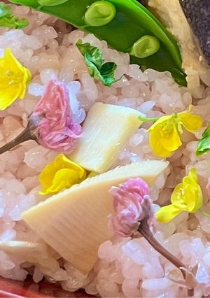 桜とたけのこおこわ-レシピのメイン写真