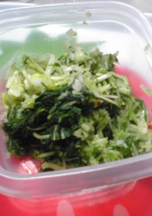 残った水菜で♪ごはんによく合うお漬物〜-レシピのメイン写真