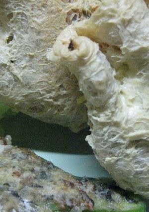 ほぼ黒豆！？茶きんの肉詰め焼き-レシピのメイン写真