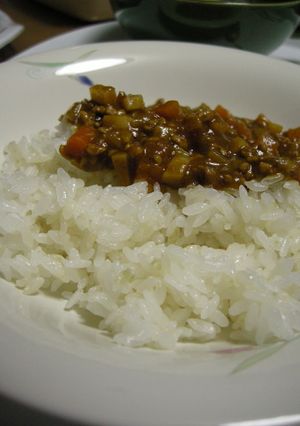 たけのこで★食感を楽しむカレー-レシピのメイン写真