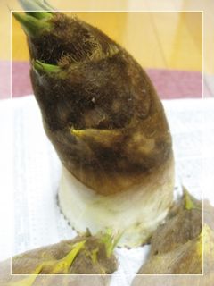 たけのこの保存☆下ゆで&あくぬき-レシピのメイン写真