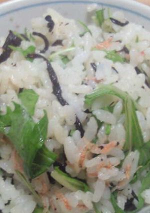 あみえび(桜海老)ひじきと水菜のまぜご飯-レシピのメイン写真