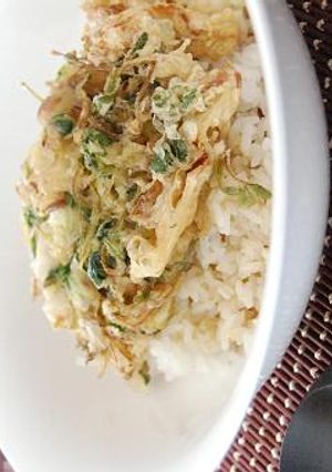 豆苗とキャベツのかき揚げ丼 カレー風味-レシピのメイン写真