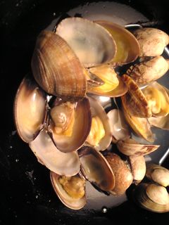 あさりの酒蒸し-レシピのメイン写真