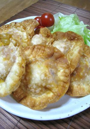 ＵＦОみたい!? サックサクな揚げピザ-レシピのメイン写真