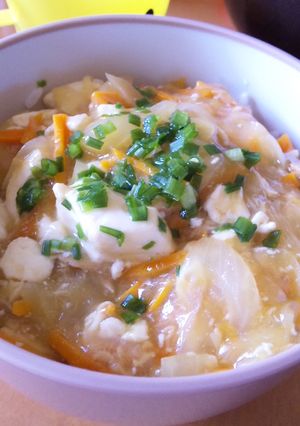 ☆めんつゆだけで味付け豆腐ともやしあん☆-レシピのメイン写真
