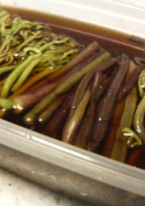 ＊手抜きぃ～ｎａ蕨（わらび）のお浸し＊-レシピのメイン写真