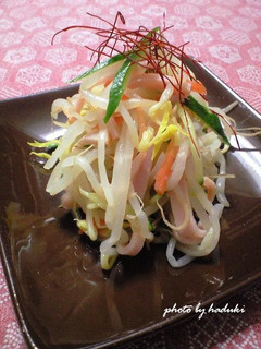 もやしの中華風サラダ-レシピのメイン写真