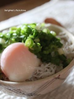 あっという間の賄い丼☆しらす丼-レシピのメイン写真